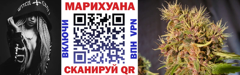 Бошки марихуана индика  Судак 